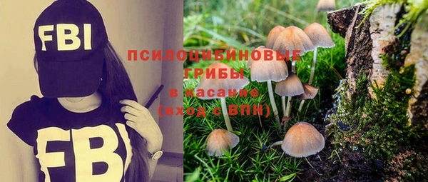 гашиш Арсеньев