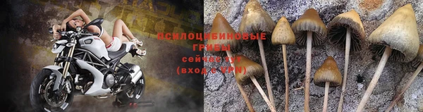 бутик Аркадак