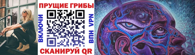 наркота  Салават  Псилоцибиновые грибы Magic Shrooms 